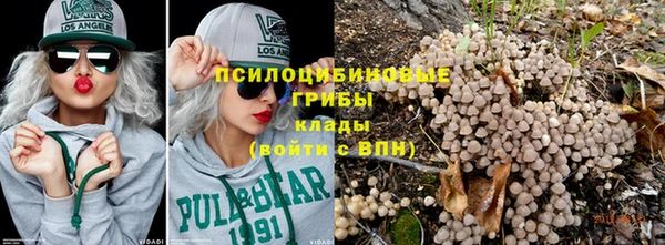 mdpv Козельск