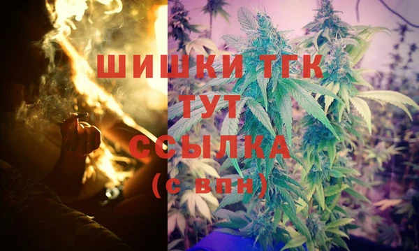 СК Кодинск