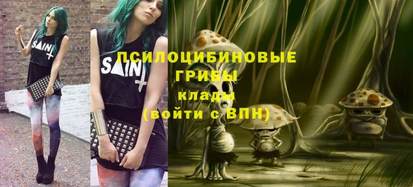 mdpv Козельск