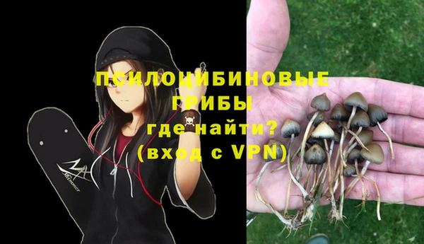 СК Кодинск