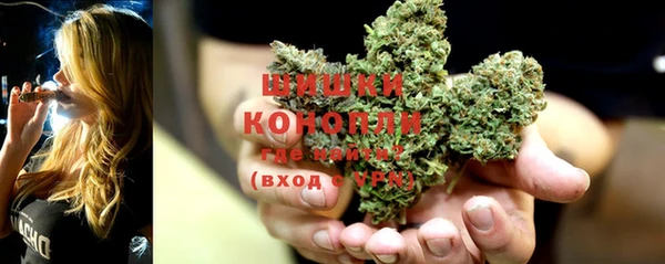 СК Кодинск