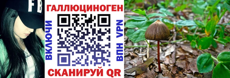 Купить закладки  Бавлы  Галлюциногенные грибы ЛСД 